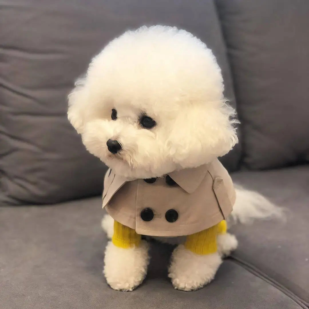 Cute Saliva Towel British Style Pet Dog Bib Windbreaker Cloak Clothing Cape Pets Costume Trench Corgi French Bulldog Supplies