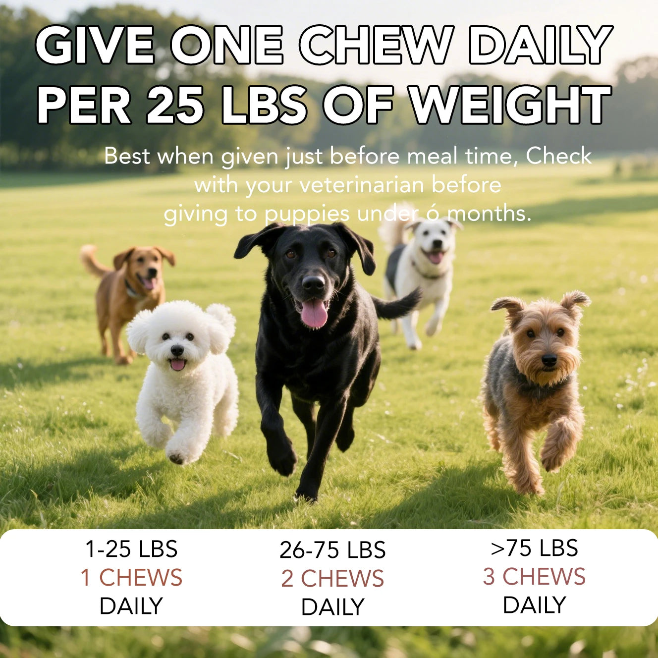 Probiotics for Dogs Digestive Health Soft Chews with Pumpkin & Fish Oil 120 Count Gut Health Itchy Relief Dog Probiotic Suppleme
