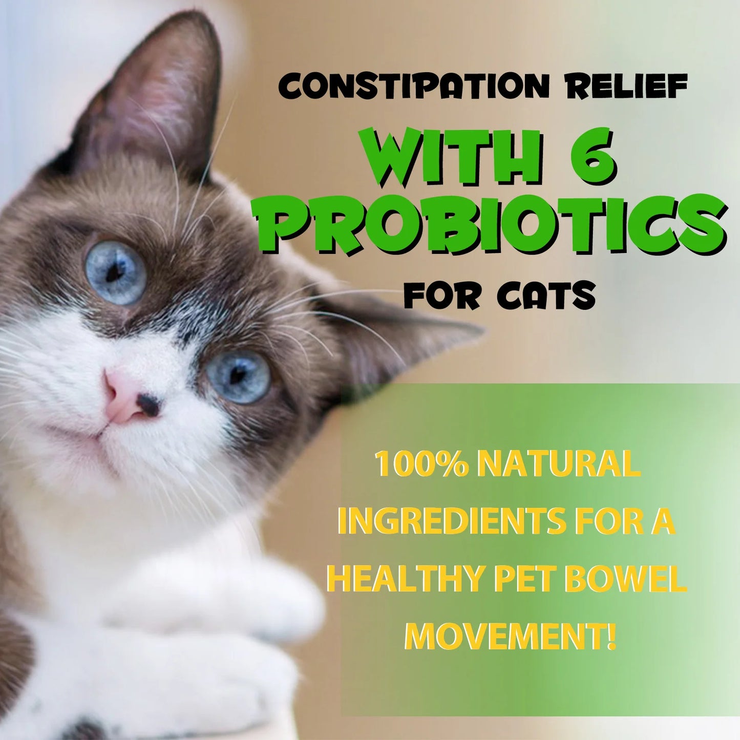 Cat Laxative Constipation Relief Support with 6 Probiotics Promotes Healthy Bowel Improve Stool Quality Support Digestive Health