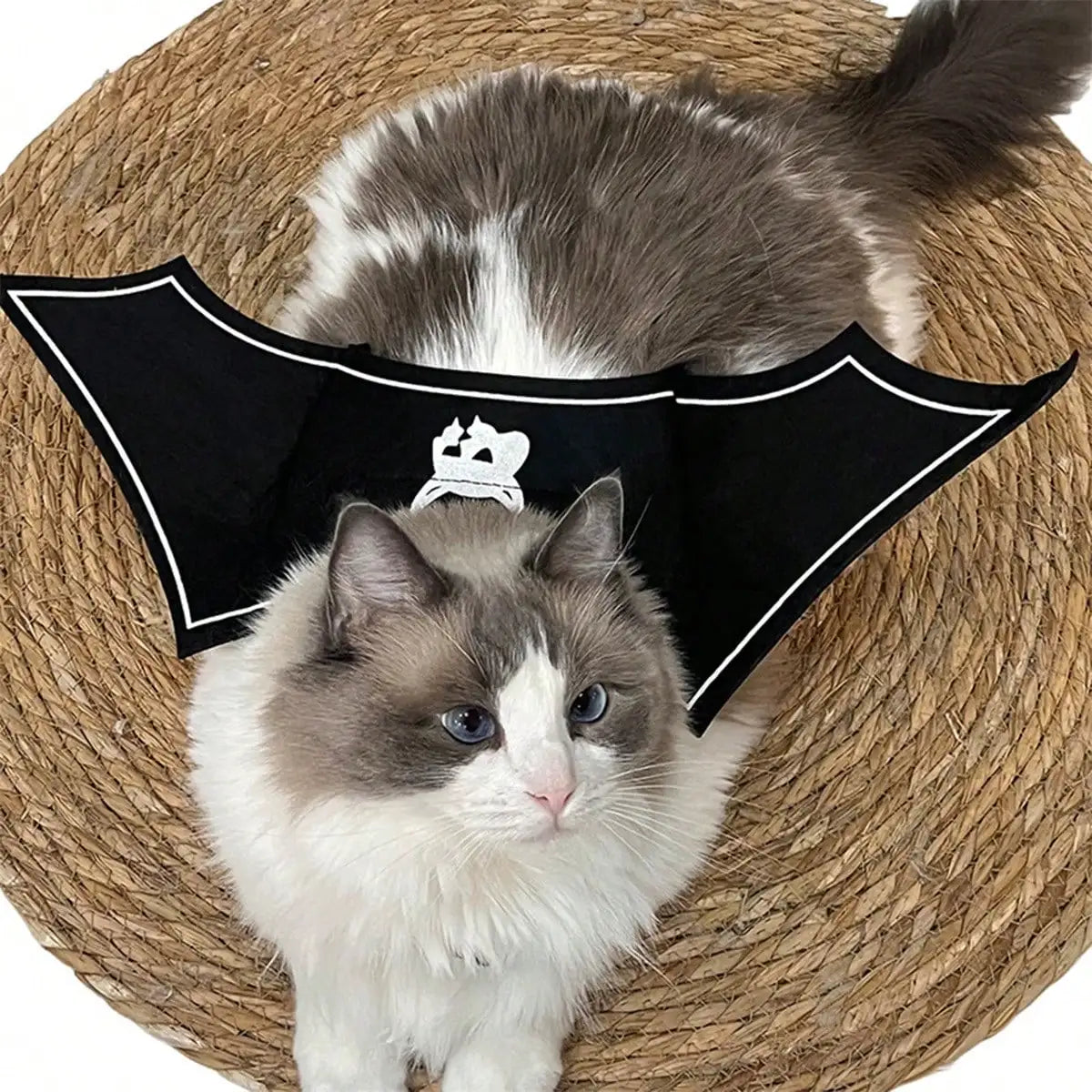 Halloween Bat Wings Costume: Funny Devil Print For Cats Dogs, Perfect For Party