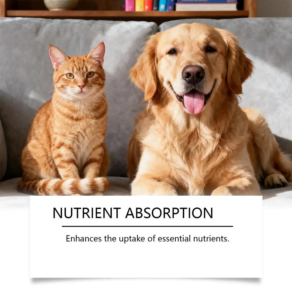 Pet Nutrition Supplement Probiotic Drops Containing Enzymes Used For Dog Cat Digestion And Immune Support Health Supplement 60ML