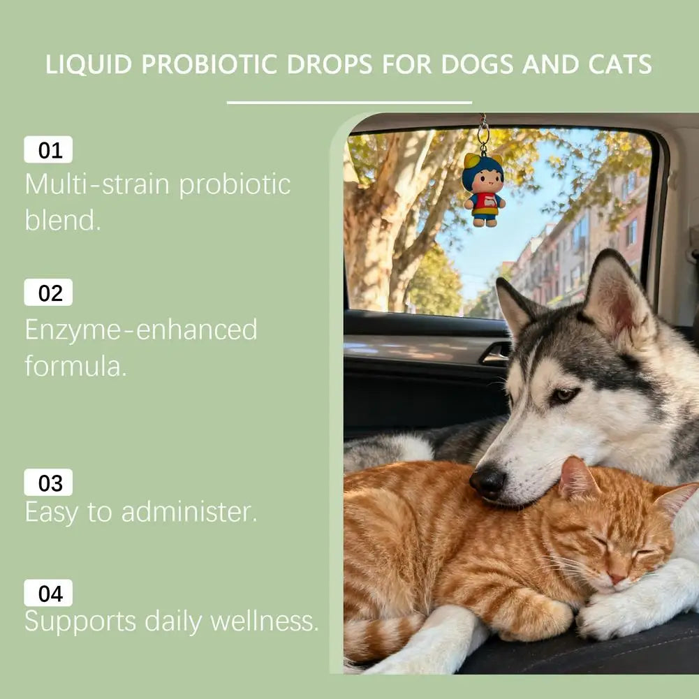 Pet Nutrition Supplement Probiotic Drops Containing Enzymes Used For Dog Cat Digestion And Immune Support Health Supplement 60ML