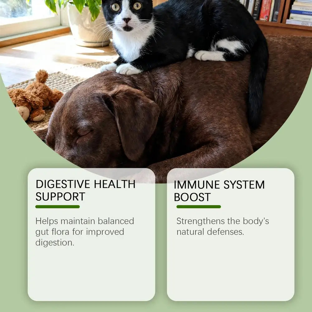 Pet Nutrition Supplement Probiotic Drops Containing Enzymes Used For Dog Cat Digestion And Immune Support Health Supplement 60ML