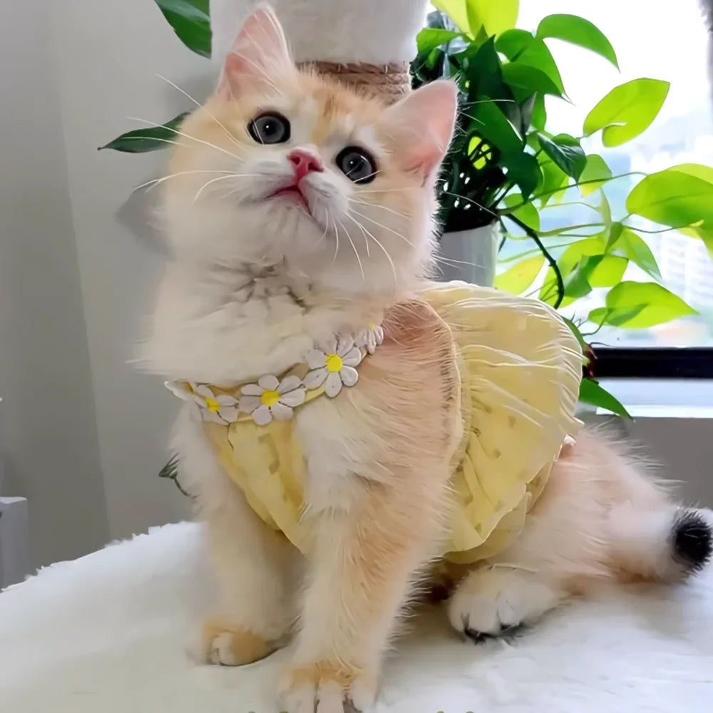 Breathable Cat Skirt Floral Wreath Collar Pretty Cute Small Dog Skirt Thin Small Dog Dress Mini Puppy Princess Dress