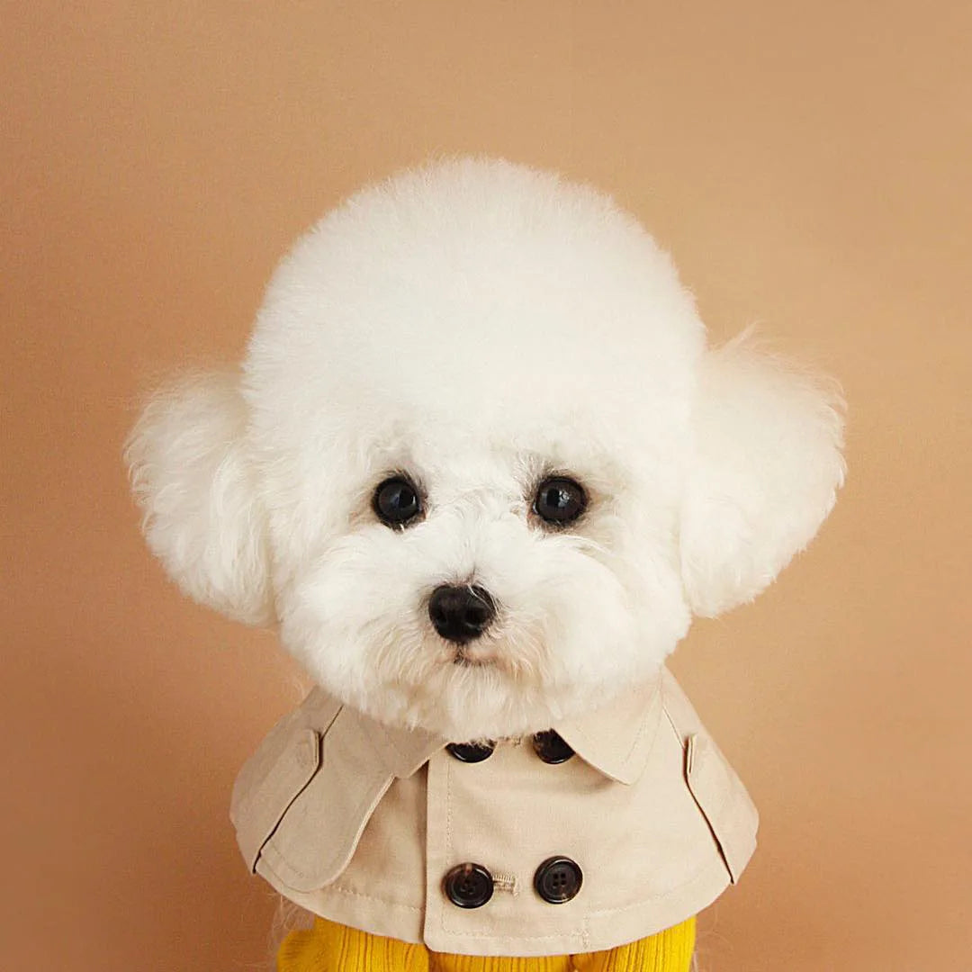 Cute Saliva Towel British Style Pet Dog Bib Windbreaker Cloak Clothing Cape Pets Costume Trench Corgi French Bulldog Supplies