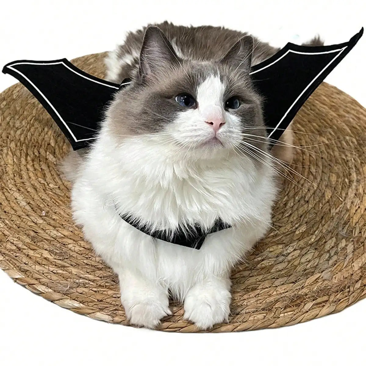 Halloween Bat Wings Costume: Funny Devil Print For Cats Dogs, Perfect For Party