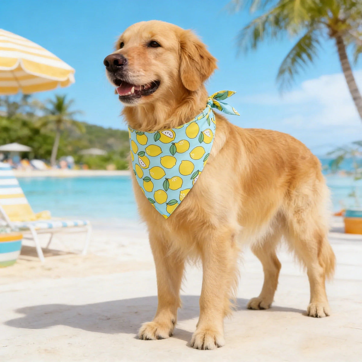 Dog Bandana Fruit Floral Spring Washable Soft Doggy Scarf Kerchief Summer Adjustable for Small Medium Large Dogs Pets