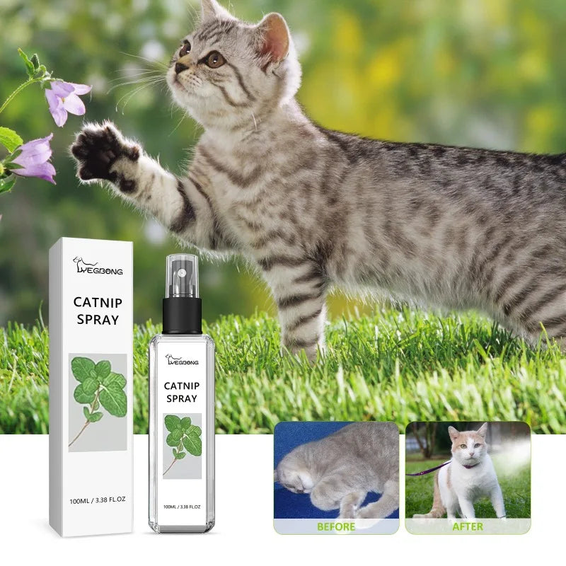 Catnip Spray Relieves Cats' Anxious Moods and Enhances Pets' Vitality for Healthy Care