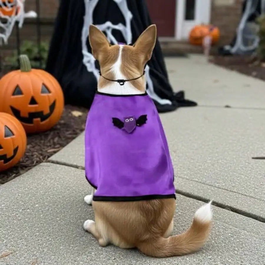 Pet Vampire Cloak Dog Cat Halloween Cape Costumes Puppy Halloween Bat Cape And Bat Mask Devil Cape Outfit