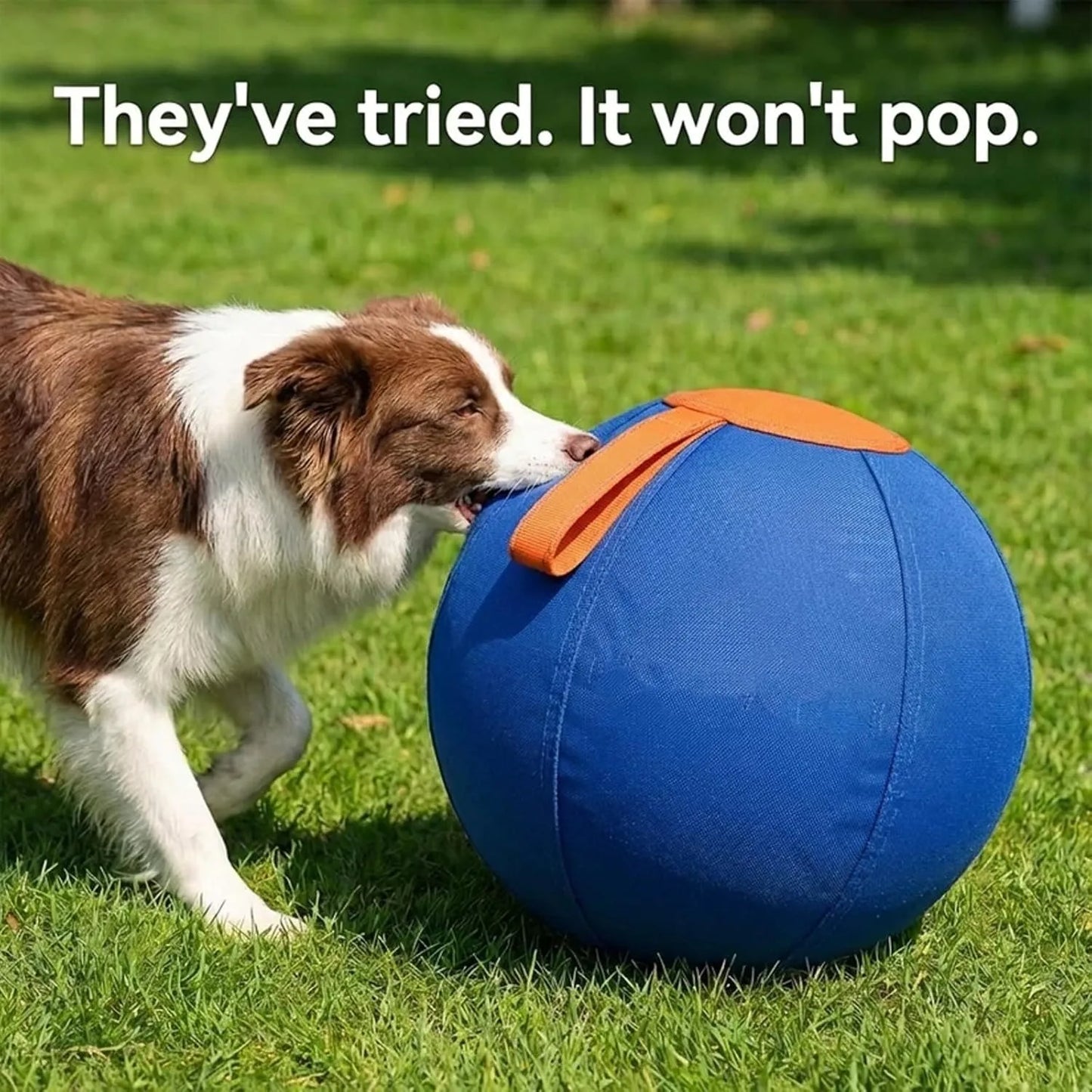 (Large) Ruckus Herding Ball, Herding Ball for Dogs, Extra-Large Enrichment Ball - Tear-Resistant, Includes Protective Cover And
